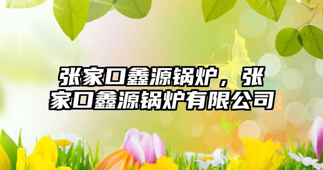 張家口鑫源鍋爐，張家口鑫源鍋爐有限公司