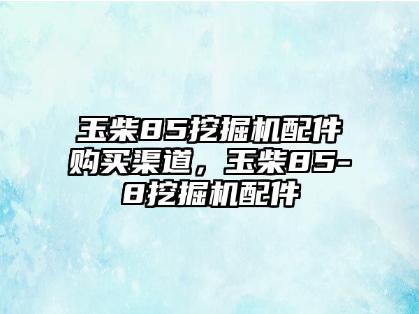 玉柴85挖掘機(jī)配件購買渠道，玉柴85-8挖掘機(jī)配件