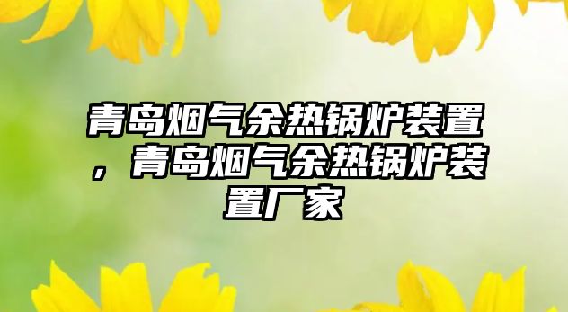 青島煙氣余熱鍋爐裝置，青島煙氣余熱鍋爐裝置廠(chǎng)家