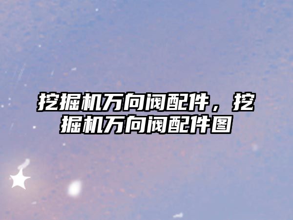 挖掘機萬向閥配件，挖掘機萬向閥配件圖