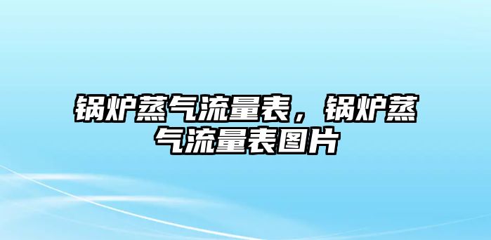 鍋爐蒸氣流量表，鍋爐蒸氣流量表圖片