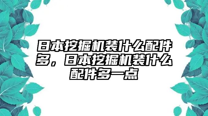 日本挖掘機裝什么配件多，日本挖掘機裝什么配件多一點