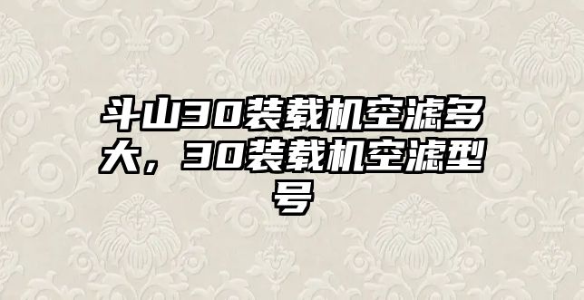 斗山30裝載機(jī)空濾多大，30裝載機(jī)空濾型號