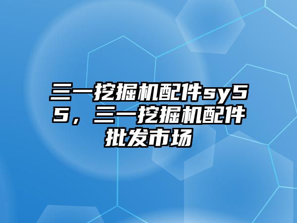 三一挖掘機配件sy55，三一挖掘機配件批發(fā)市場