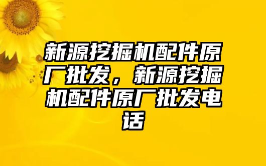 新源挖掘機配件原廠批發(fā)，新源挖掘機配件原廠批發(fā)電話