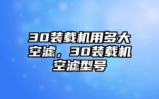 30裝載機(jī)用多大空濾，30裝載機(jī)空濾型號(hào)