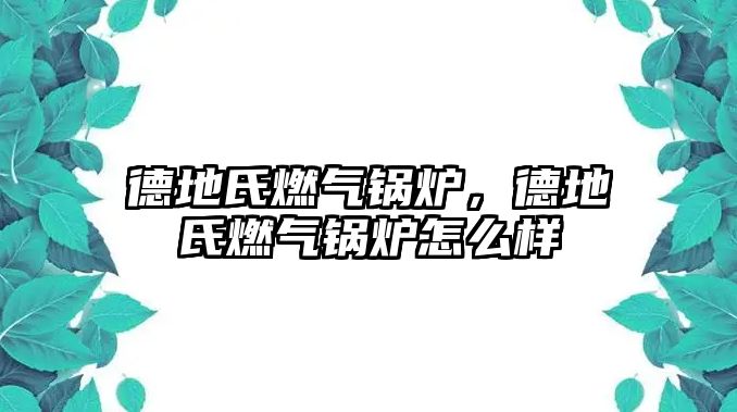 德地氏燃氣鍋爐，德地氏燃氣鍋爐怎么樣