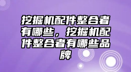 挖掘機配件整合者有哪些，挖掘機配件整合者有哪些品牌