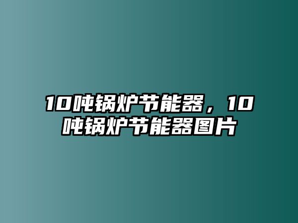 10噸鍋爐節(jié)能器，10噸鍋爐節(jié)能器圖片