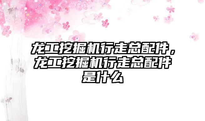 龍工挖掘機(jī)行走總配件，龍工挖掘機(jī)行走總配件是什么