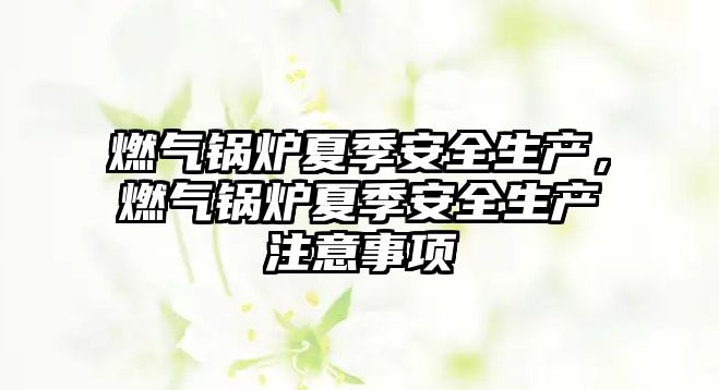 燃?xì)忮仩t夏季安全生產(chǎn)，燃?xì)忮仩t夏季安全生產(chǎn)注意事項(xiàng)