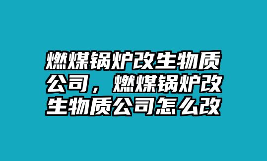 燃煤鍋爐改生物質(zhì)公司，燃煤鍋爐改生物質(zhì)公司怎么改