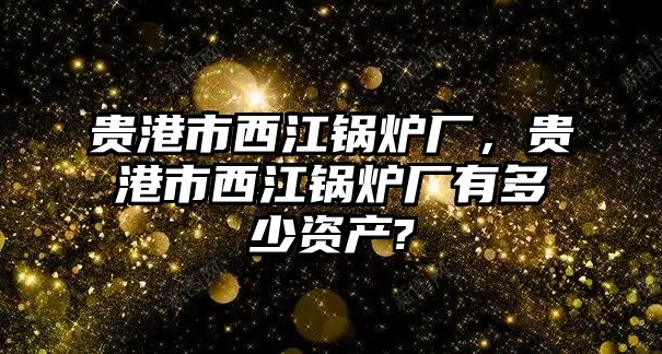 貴港市西江鍋爐廠，貴港市西江鍋爐廠有多少資產(chǎn)?