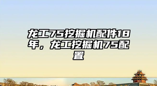 龍工75挖掘機(jī)配件18年，龍工挖掘機(jī)75配置