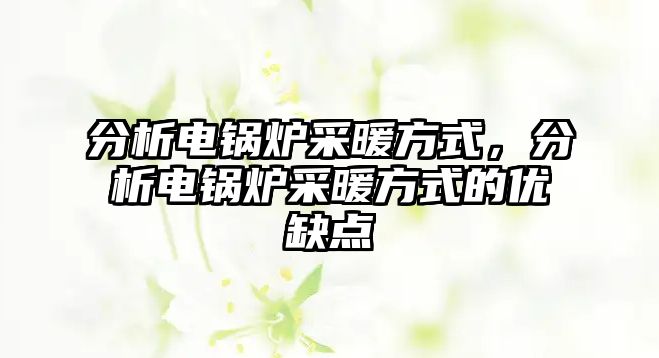 分析電鍋爐采暖方式，分析電鍋爐采暖方式的優(yōu)缺點