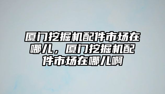 廈門挖掘機配件市場在哪兒，廈門挖掘機配件市場在哪兒啊