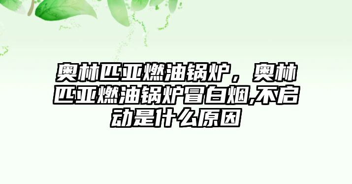 奧林匹亞燃油鍋爐，奧林匹亞燃油鍋爐冒白煙,不啟動(dòng)是什么原因