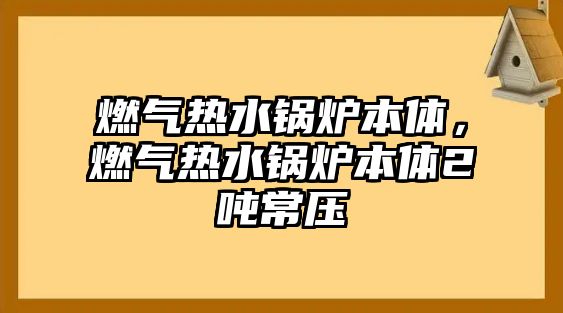 燃氣熱水鍋爐本體，燃氣熱水鍋爐本體2噸常壓