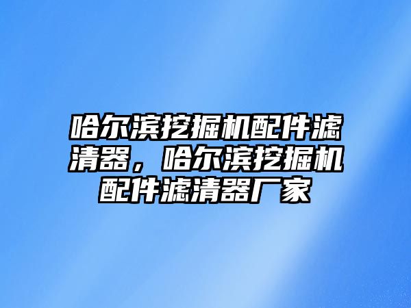 哈爾濱挖掘機配件濾清器，哈爾濱挖掘機配件濾清器廠家