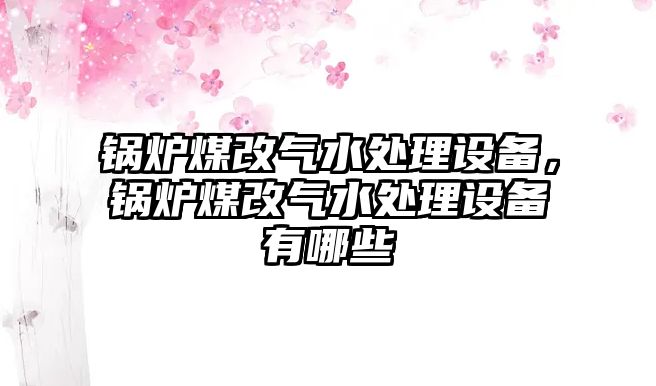 鍋爐煤改氣水處理設(shè)備，鍋爐煤改氣水處理設(shè)備有哪些