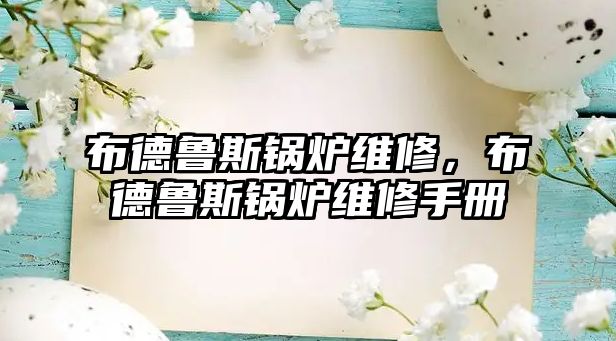 布德魯斯鍋爐維修，布德魯斯鍋爐維修手冊