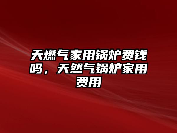 天燃?xì)饧矣缅仩t費(fèi)錢嗎，天然氣鍋爐家用費(fèi)用