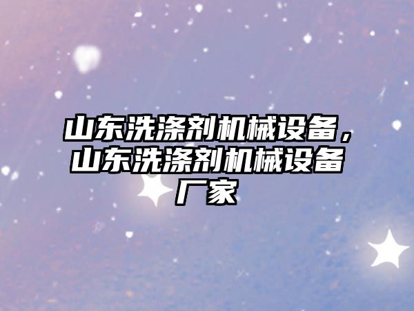 山東洗滌劑機(jī)械設(shè)備，山東洗滌劑機(jī)械設(shè)備廠家