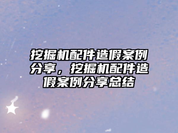 挖掘機配件造假案例分享，挖掘機配件造假案例分享總結(jié)