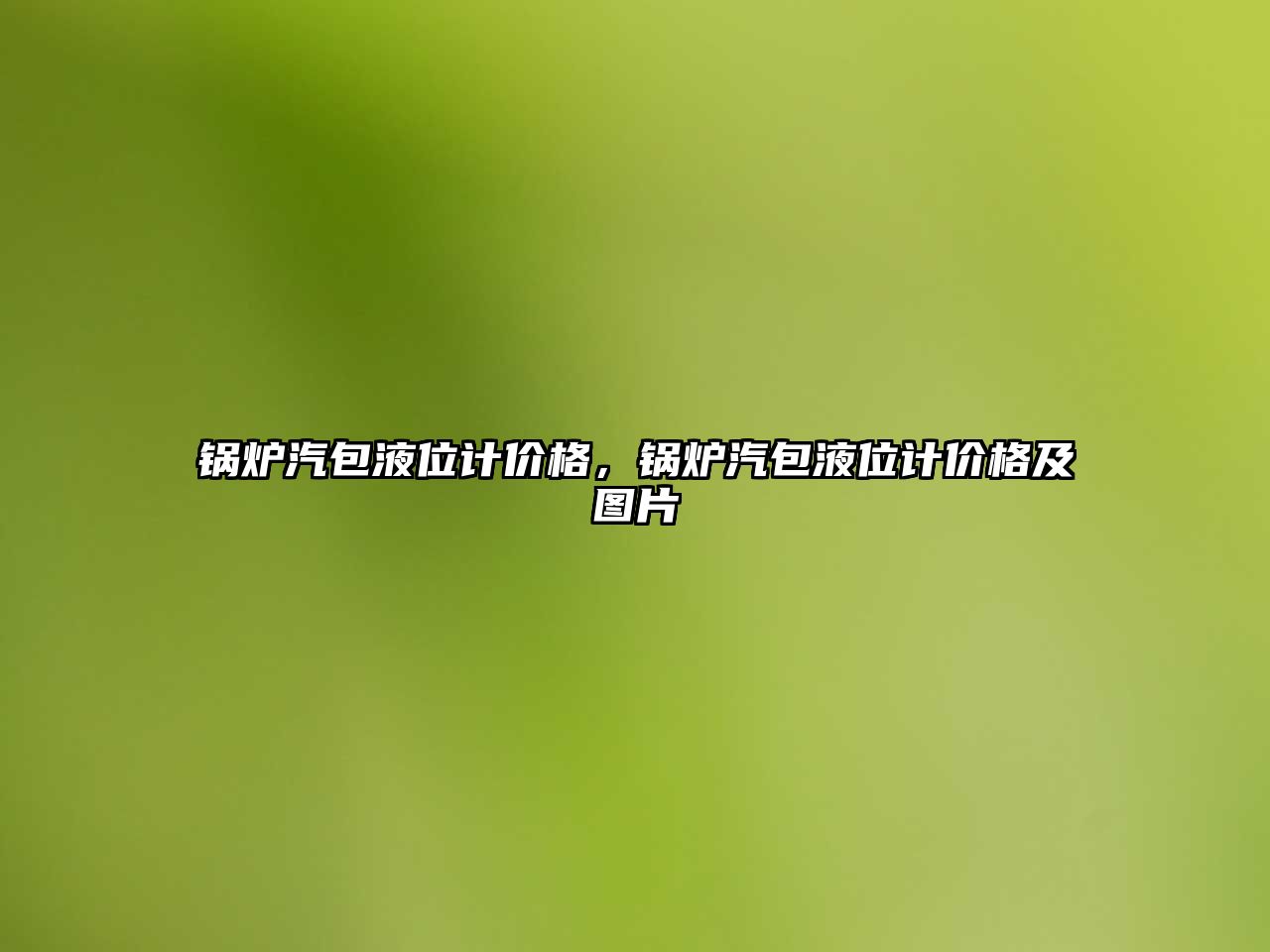 鍋爐汽包液位計價格，鍋爐汽包液位計價格及圖片