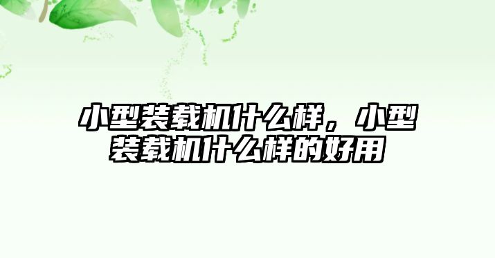 小型裝載機(jī)什么樣，小型裝載機(jī)什么樣的好用