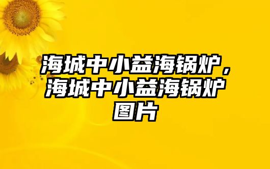 海城中小益海鍋爐，海城中小益海鍋爐圖片