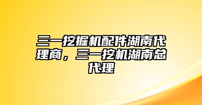 三一挖掘機配件湖南代理商，三一挖機湖南總代理