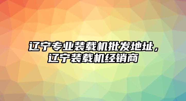 遼寧專業(yè)裝載機(jī)批發(fā)地址，遼寧裝載機(jī)經(jīng)銷商