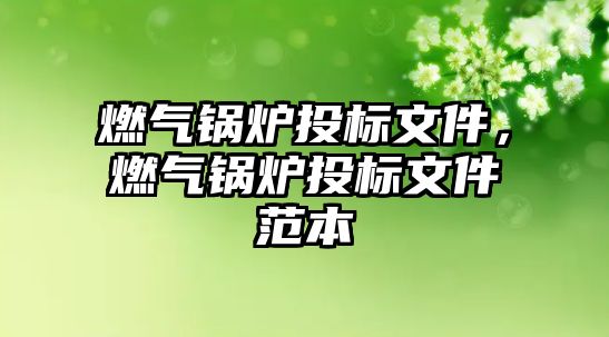 燃?xì)忮仩t投標(biāo)文件，燃?xì)忮仩t投標(biāo)文件范本