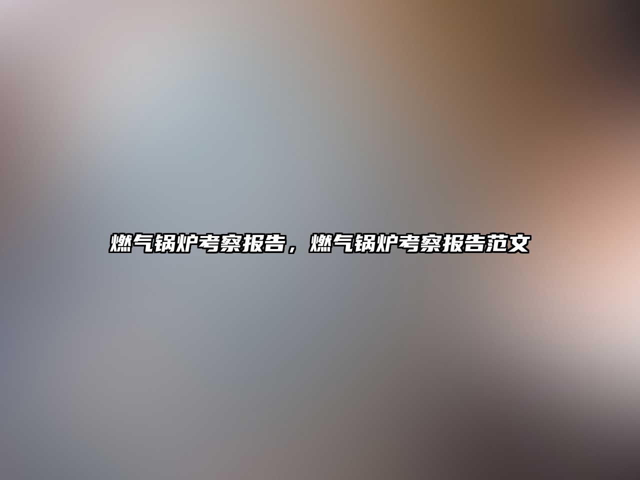 燃?xì)忮仩t考察報(bào)告，燃?xì)忮仩t考察報(bào)告范文