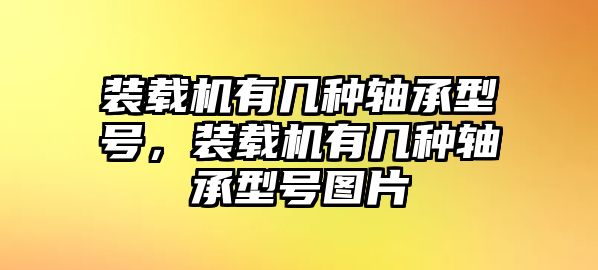 裝載機有幾種軸承型號，裝載機有幾種軸承型號圖片