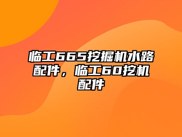 臨工665挖掘機(jī)水路配件，臨工60挖機(jī)配件