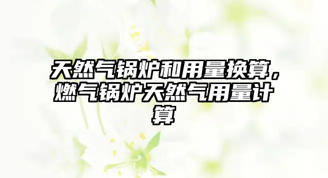 天然氣鍋爐和用量換算，燃?xì)忮仩t天然氣用量計(jì)算