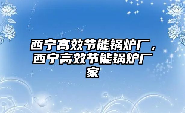 西寧高效節(jié)能鍋爐廠，西寧高效節(jié)能鍋爐廠家