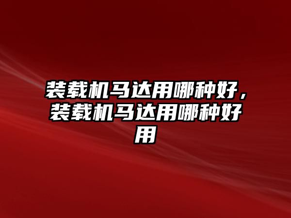 裝載機(jī)馬達(dá)用哪種好，裝載機(jī)馬達(dá)用哪種好用