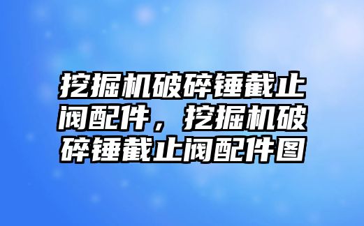 挖掘機破碎錘截止閥配件，挖掘機破碎錘截止閥配件圖