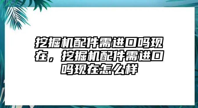 挖掘機(jī)配件需進(jìn)口嗎現(xiàn)在，挖掘機(jī)配件需進(jìn)口嗎現(xiàn)在怎么樣