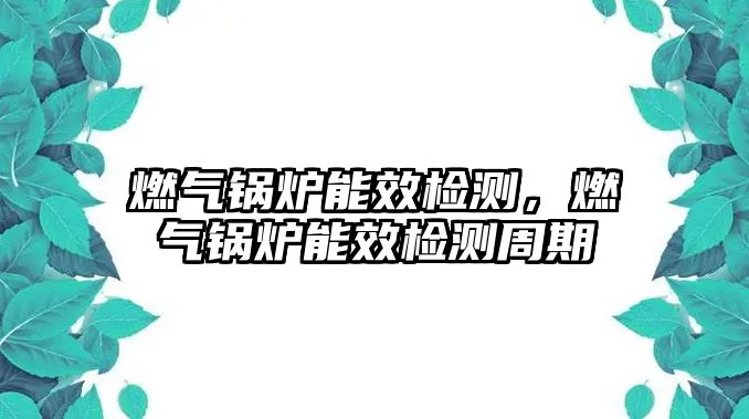 燃?xì)忮仩t能效檢測(cè)，燃?xì)忮仩t能效檢測(cè)周期