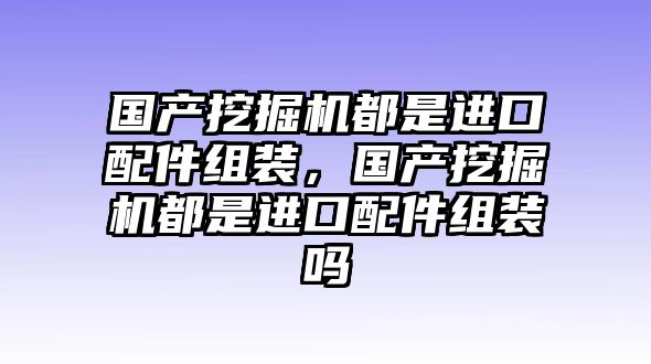 國產(chǎn)挖掘機都是進口配件組裝，國產(chǎn)挖掘機都是進口配件組裝嗎