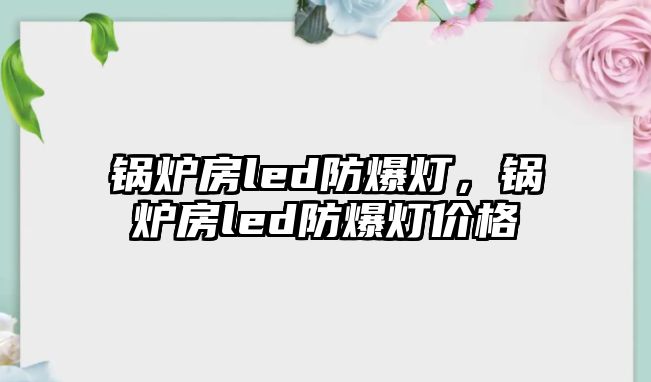 鍋爐房led防爆燈，鍋爐房led防爆燈價格