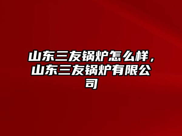 山東三友鍋爐怎么樣，山東三友鍋爐有限公司