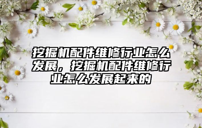 挖掘機配件維修行業(yè)怎么發(fā)展，挖掘機配件維修行業(yè)怎么發(fā)展起來的