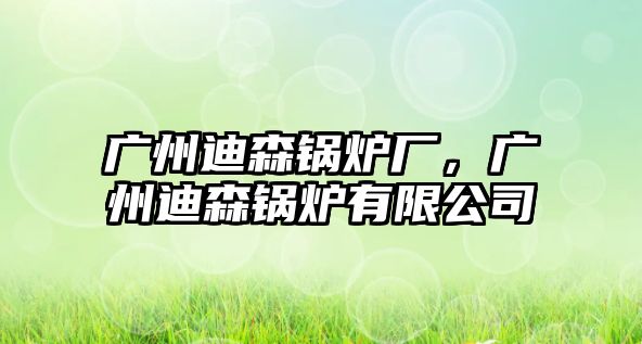 廣州迪森鍋爐廠，廣州迪森鍋爐有限公司