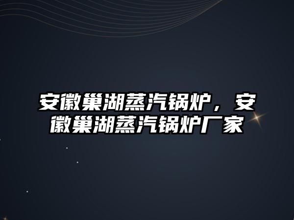 安徽巢湖蒸汽鍋爐，安徽巢湖蒸汽鍋爐廠家