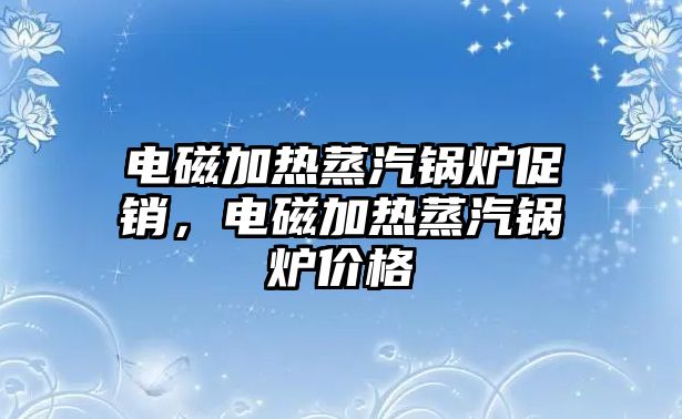 電磁加熱蒸汽鍋爐促銷，電磁加熱蒸汽鍋爐價(jià)格